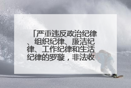 严重违反政治纪律、组织纪律、廉洁纪律、工作纪律和生活纪律的罗璇，非法收受他人巨额财物